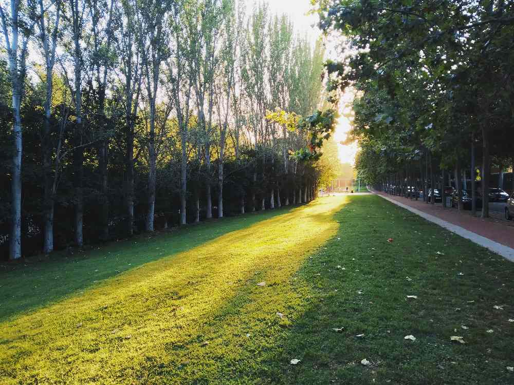  'Ja s'acosta el crepuscle al parc' feta a Sant Cugat del Vallès. FOTO: Josep Palanqués Ferrer