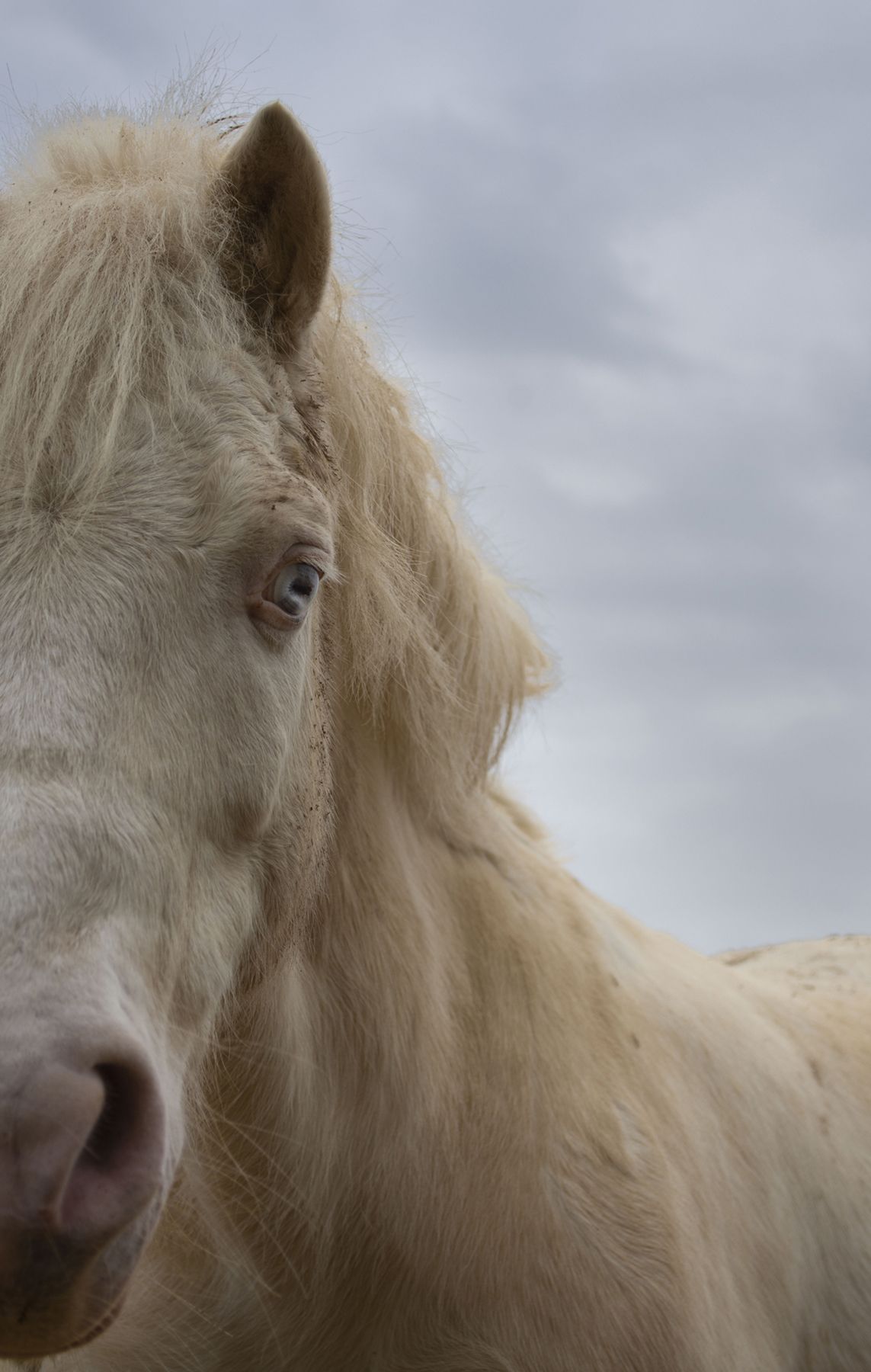  'Ulls marítims' feta a Sant Cugat. FOTO: Raquel Maes