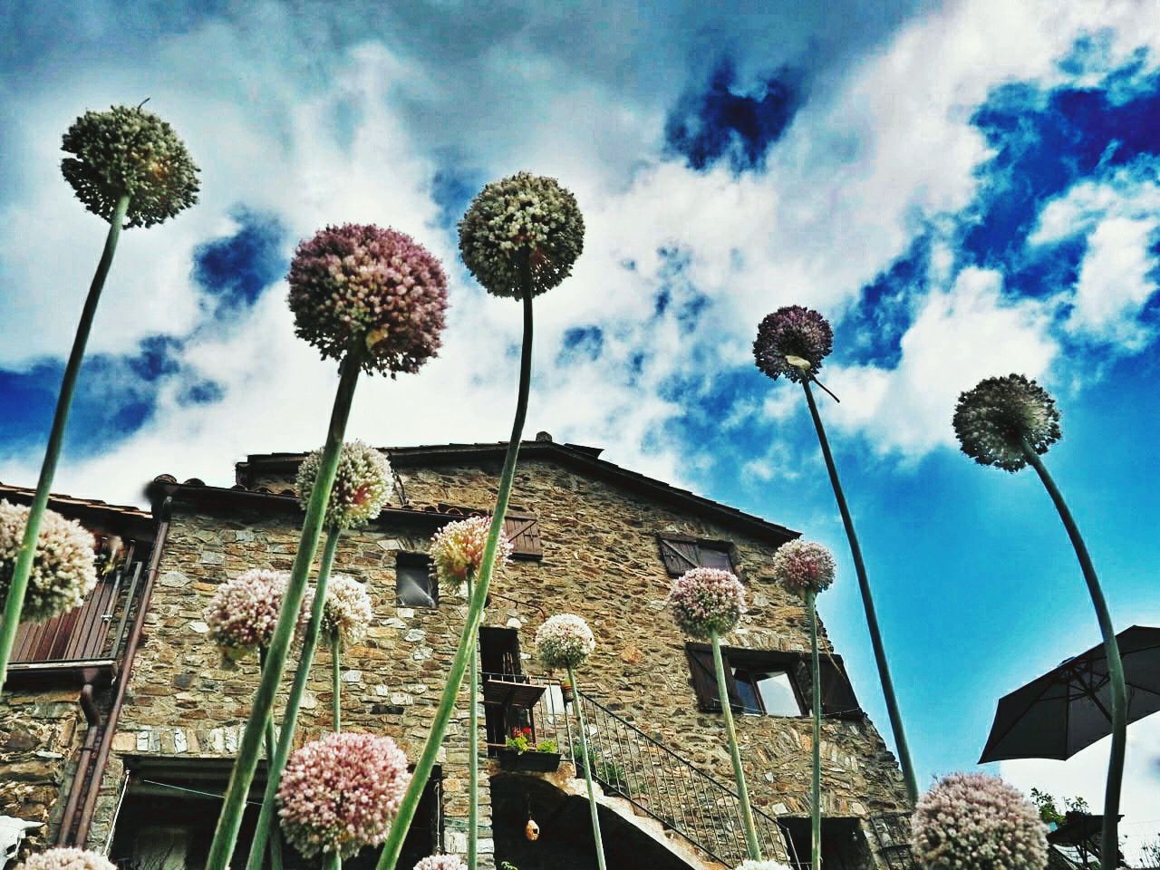  'Prenent la fresca a la gespa' - feta a Camprodón. FOTO: Lucas Moreno