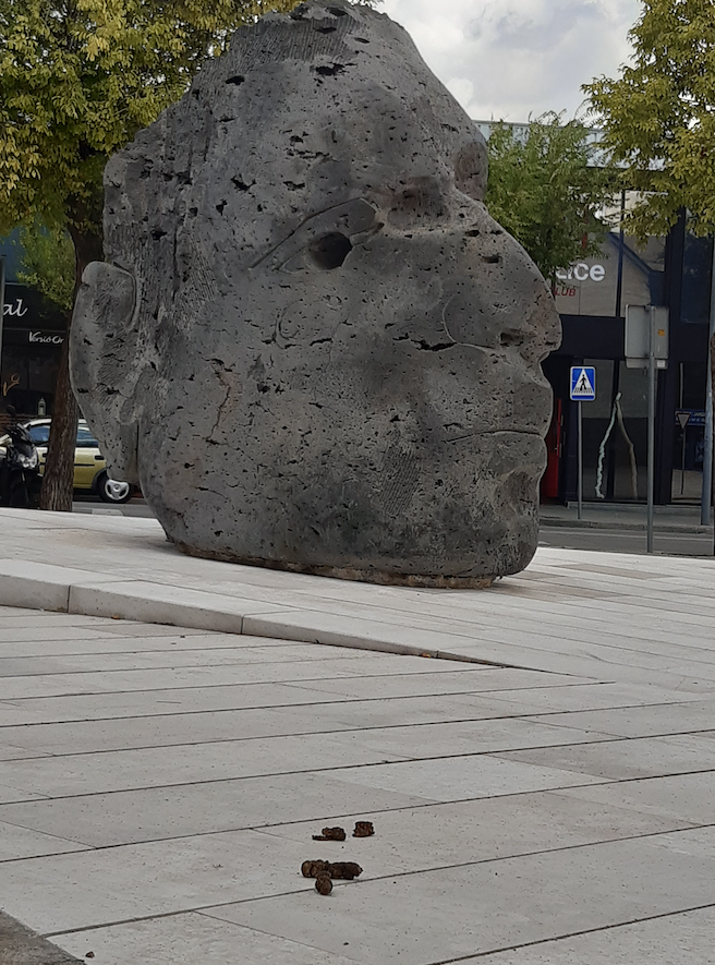 Cacas de perro por doquier en las aceras de Sant Cugat. FOTO: Cedida