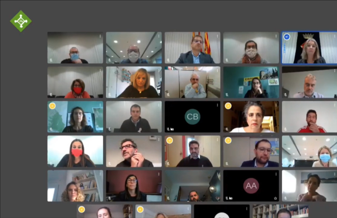 Ple municipal del mes d'octubre, telemàtic