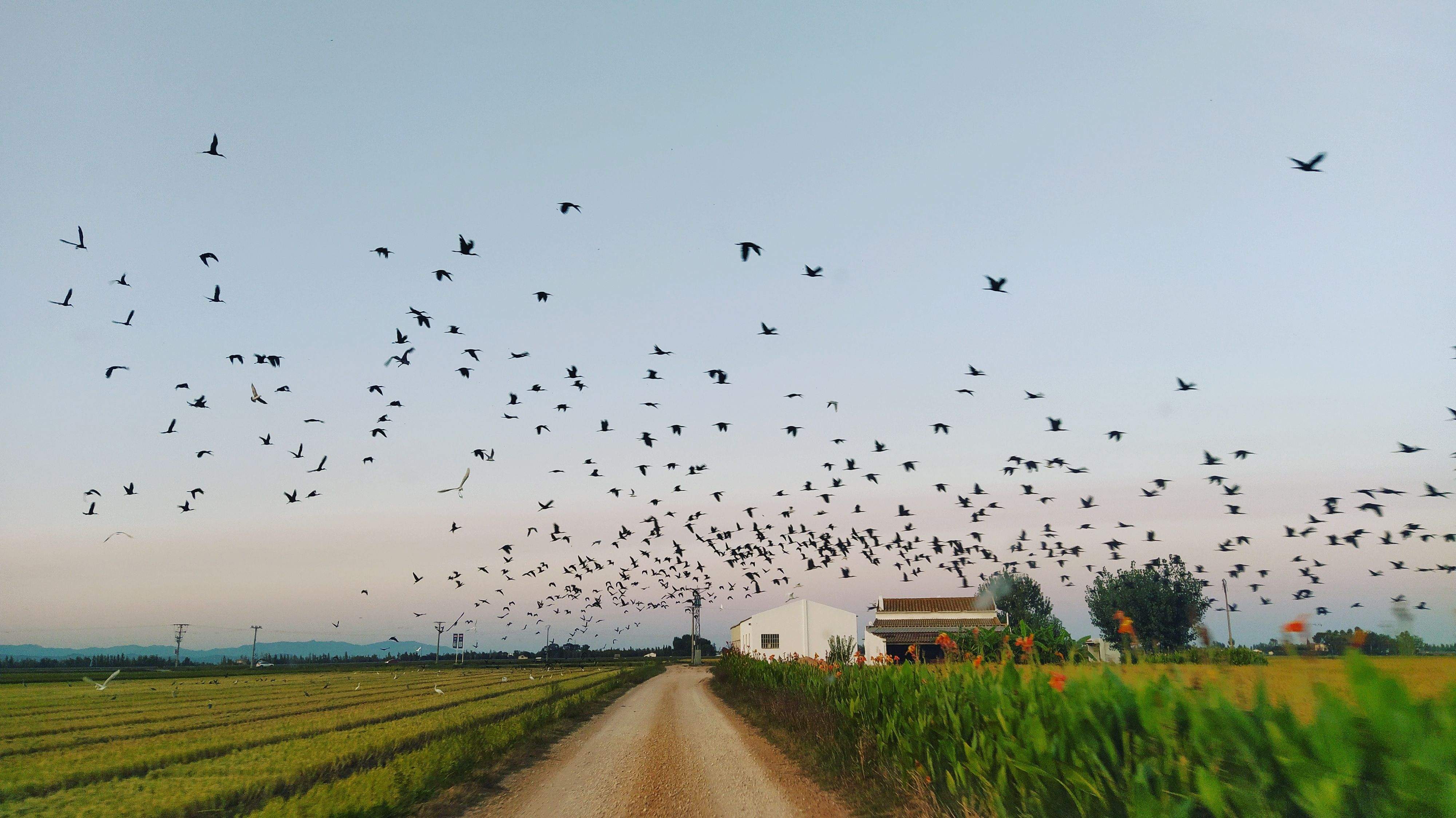 4t Premi   Paisatges del delta Delta de l'Ebre  FOTO: Irene Moreno 