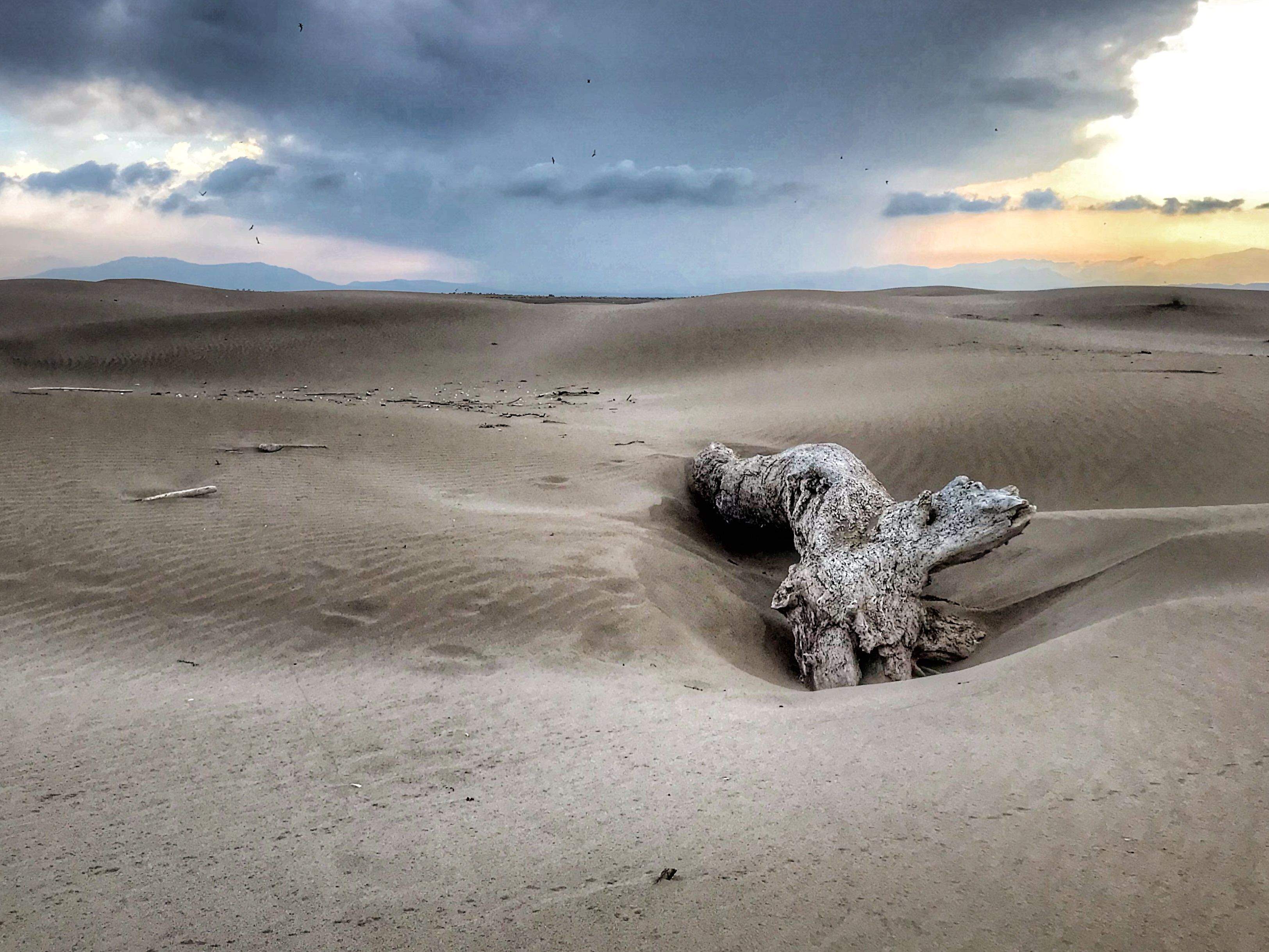 6e Premi   Vent i sorra Delta de l Ebre. Playa del Fangar  FOTO: M. Sergio López Conde 