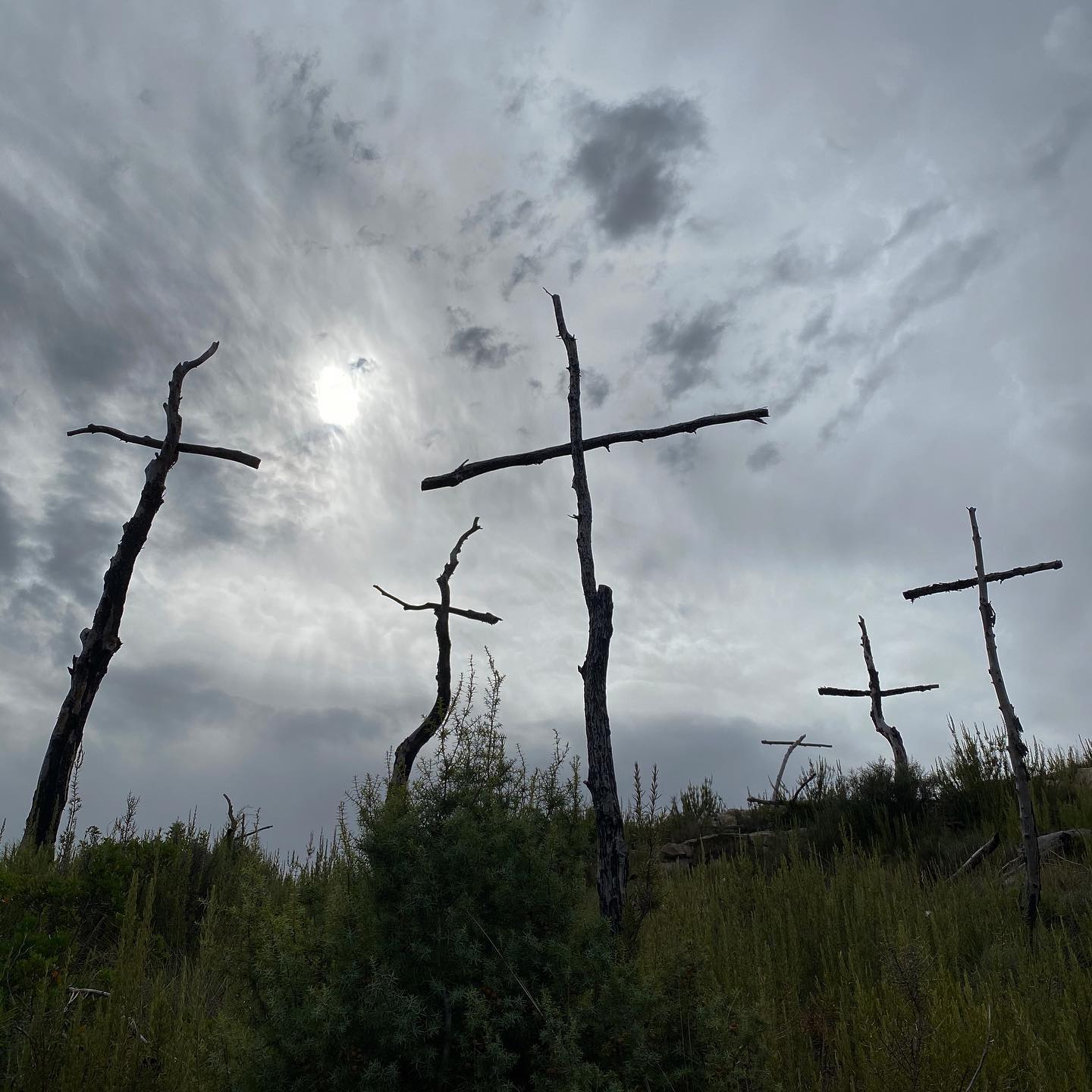 2 Instagram  Enterrem la nit  FOTO: Anna Lesan