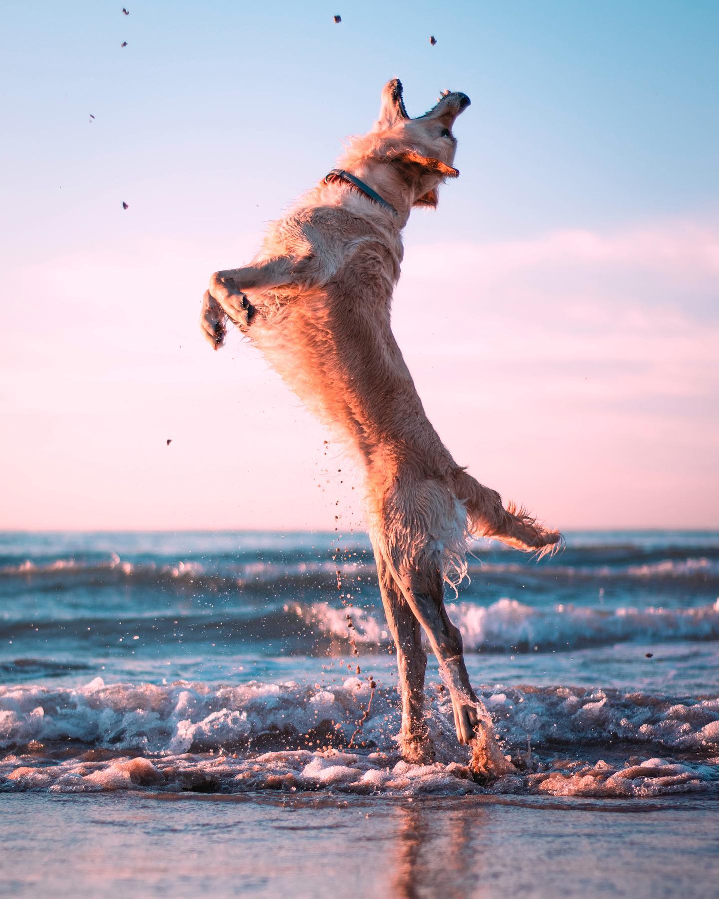 4 Instagram    The exact moment when you reach your highest point and the only possible resolution to it is to fall into the ground from which you have started the jump FOTO: Monic Araw