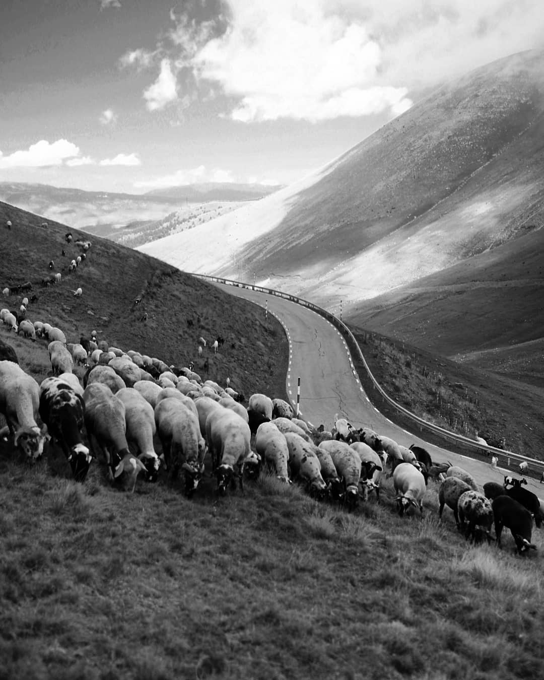 5 Instagram    Cap per avall FOTO: @betta_spl 