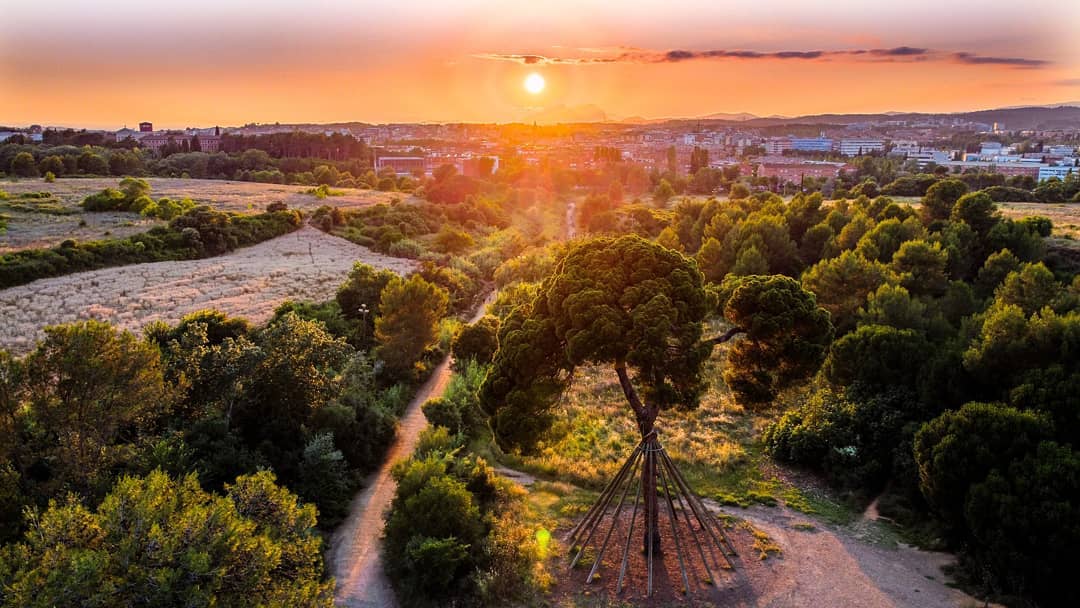 6 Instagram  associacio torre negra   Pi d en Xandri sunset