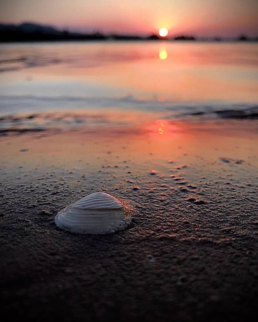 8 Instagram    Cargol de mar FOTO: @abustins 