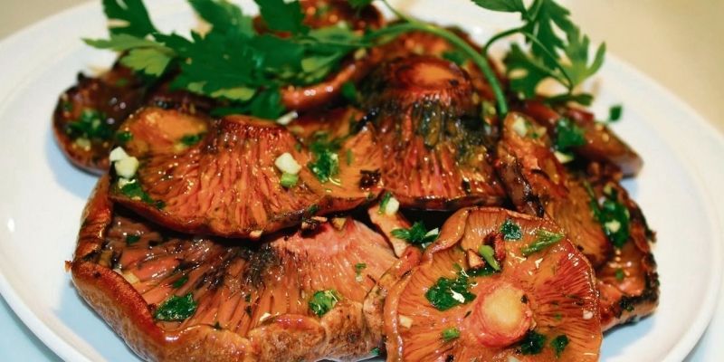 Plat de bolets. FOTO: Cedida