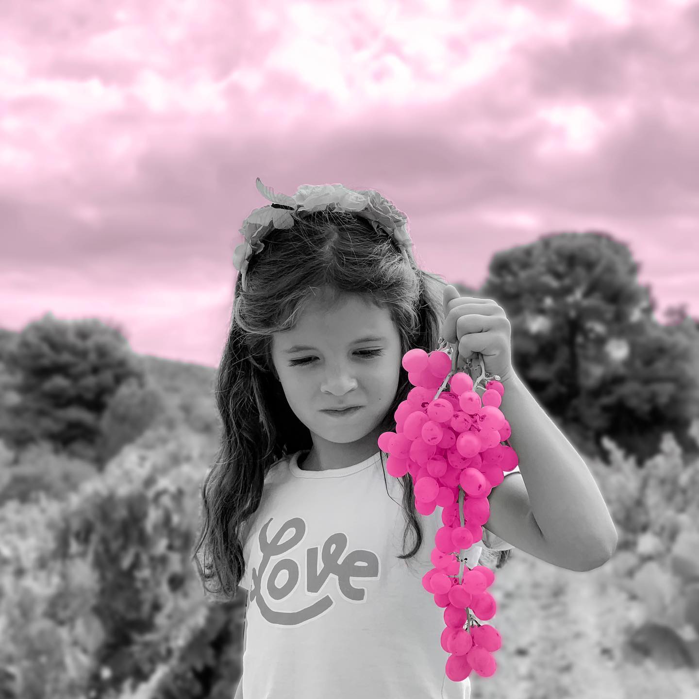 jordikna   A la vinya