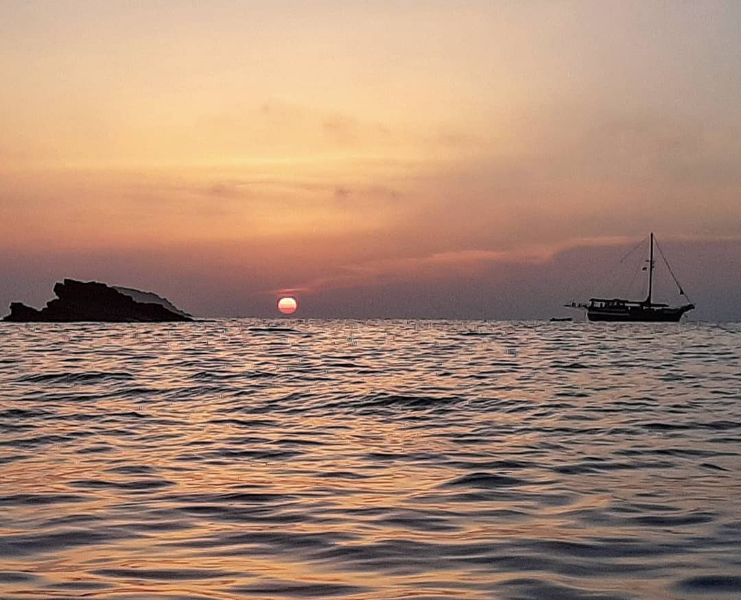 jordidarde   totfotoportada2020