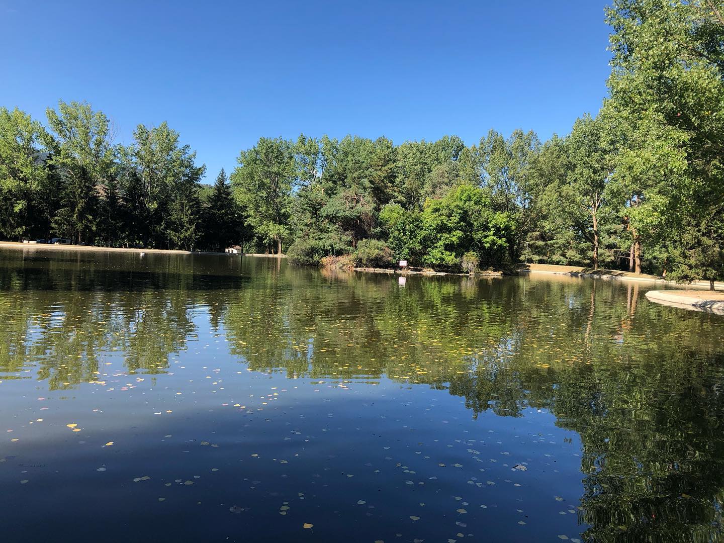 joansolerman   Osseja