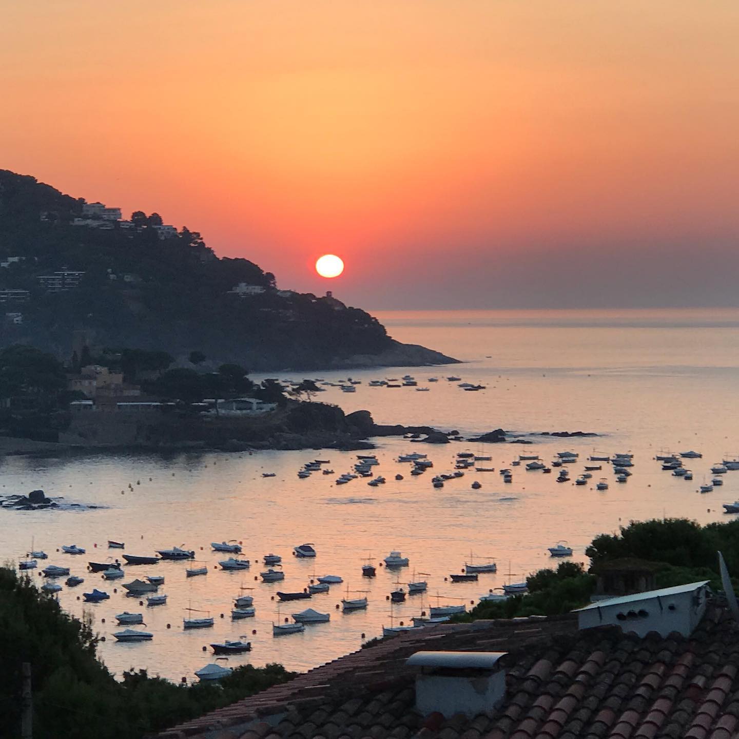 jmesad28   La rutina formosa. Calella de Palafrugell