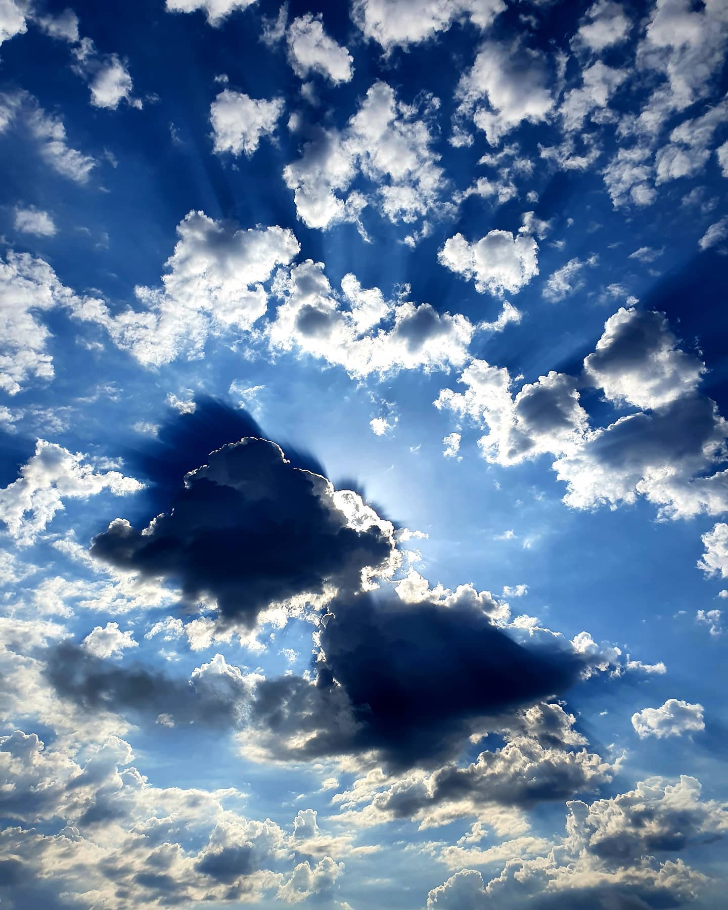 j.wilber.mancilla   Entre las nubes