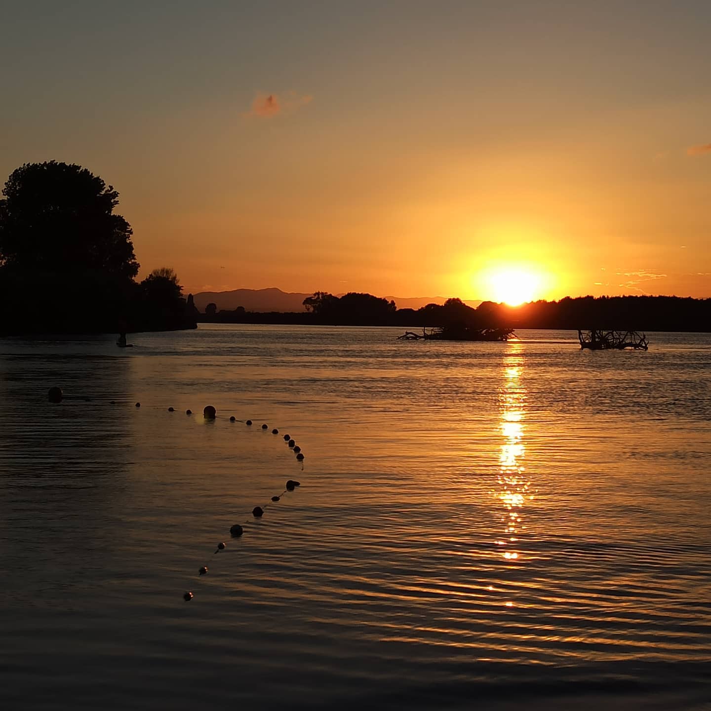 ginaricossa   See you sun!!