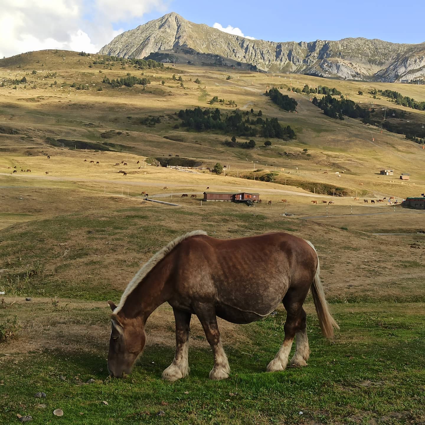 ginaricossa   All by myself 