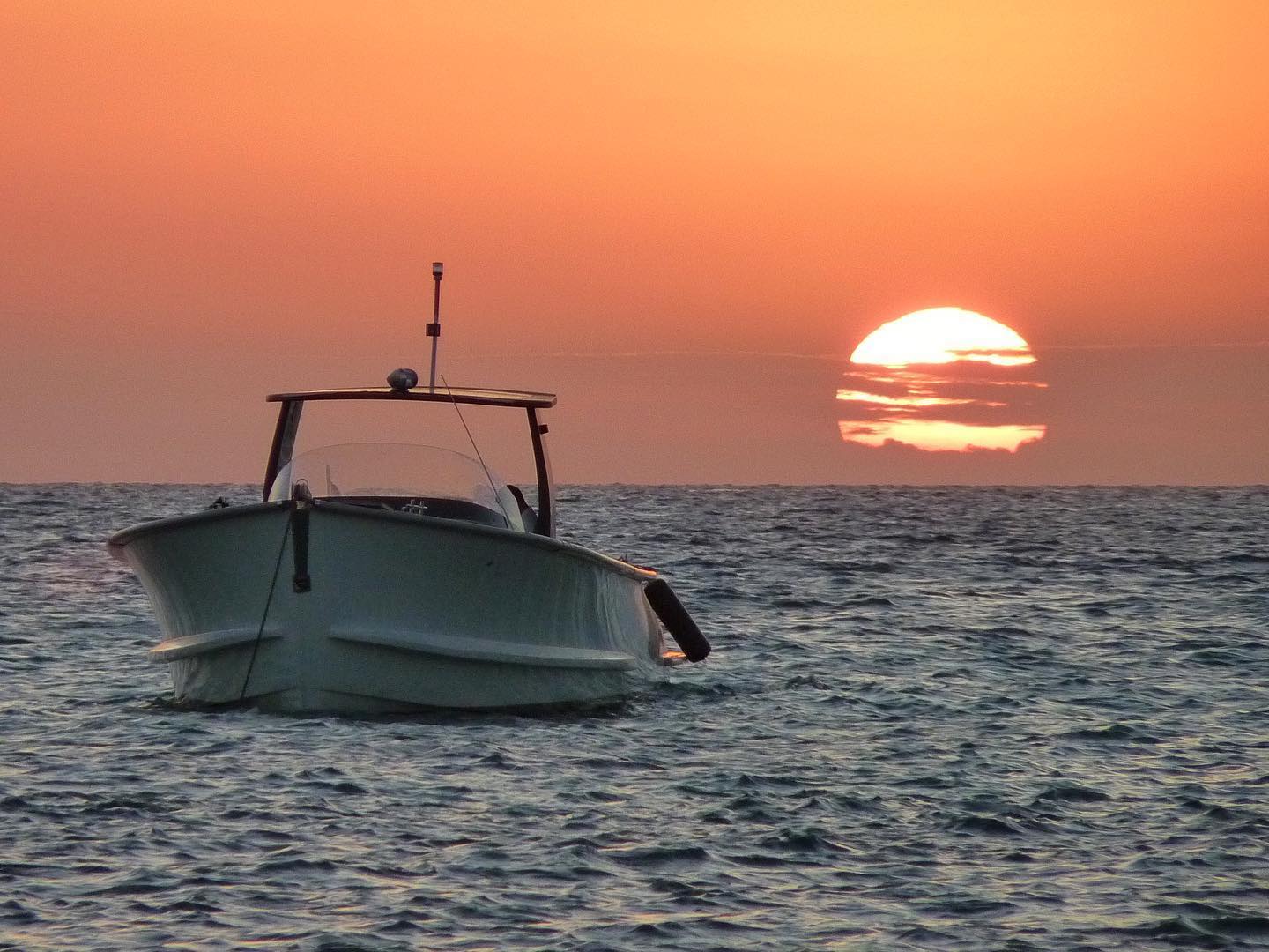 galceranrosa   G a n e s  d e  m a r