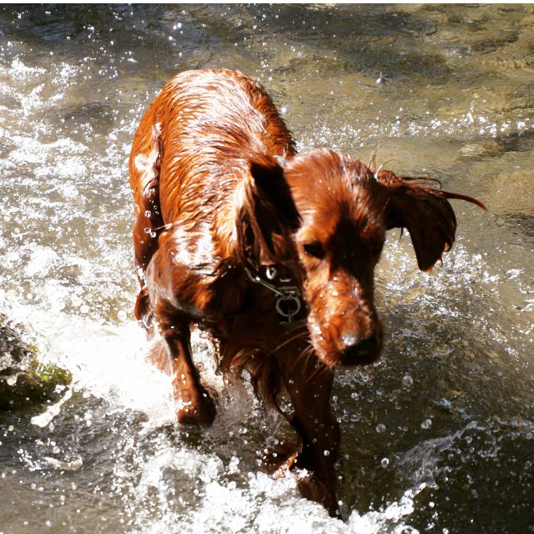 esterbaher   Gaudint de l aigua gelada! 