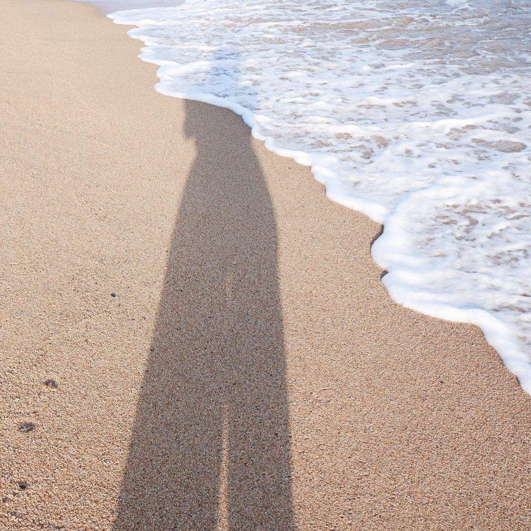 emallado   Submersió en les engrunes de l estiu 1