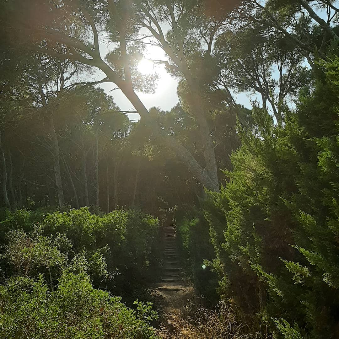 elena.vaque   Sempre hi ha un camí!