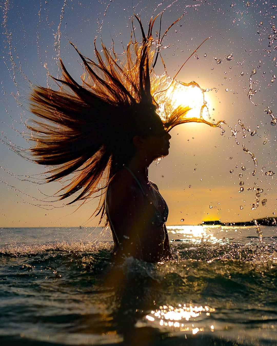 betta spl   Elements