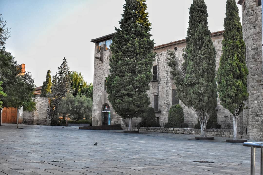 artfotografydvc   Monasterio de sant cugat 2020   1