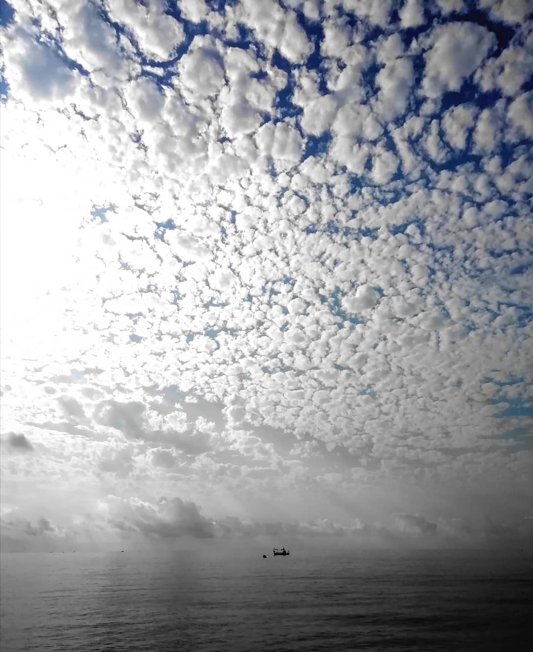 amadeuandresgarcia   Solitud