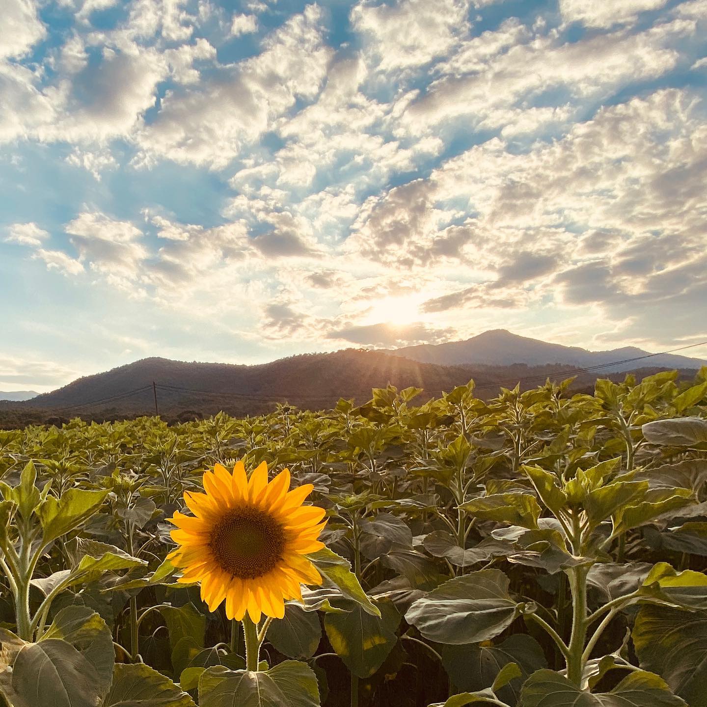 Una de les fotos participants al TOT Fotoportada 2021 FOTO: Cedida