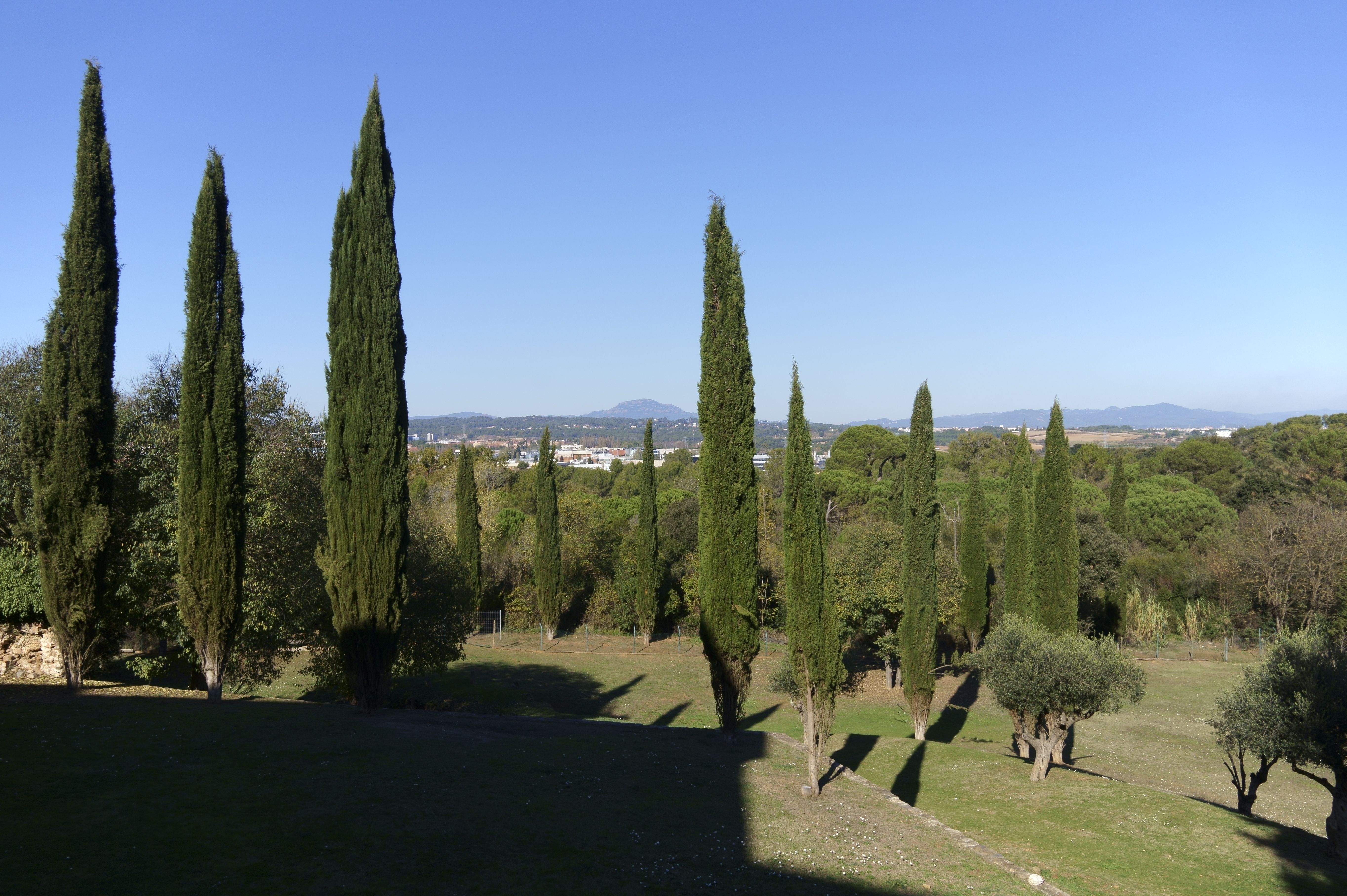 Exterior de la masia de Torre Negra. FOTOS: Quim Llop