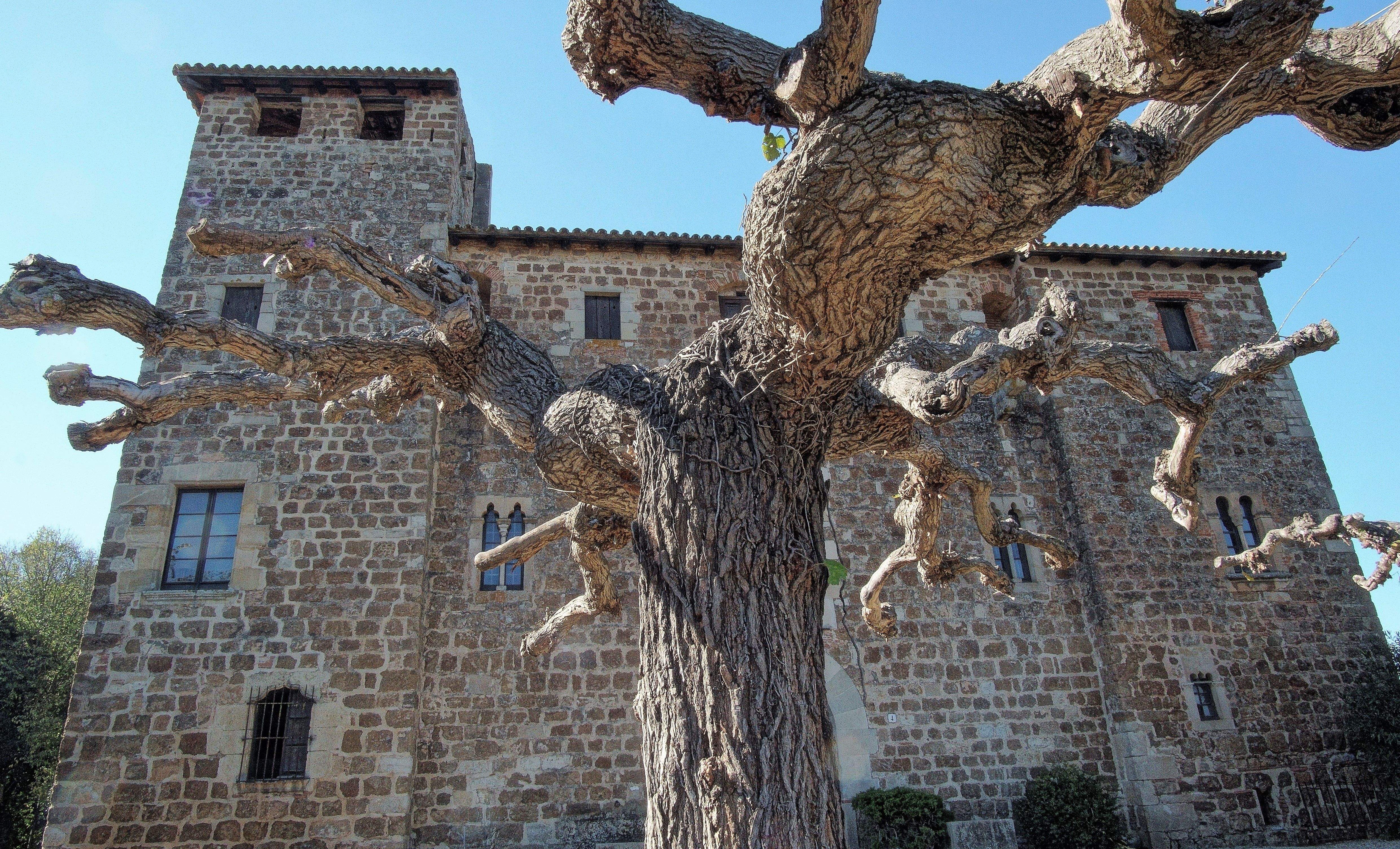 Exterior de la masia de Torre Negra. FOTOS: Quim Llop