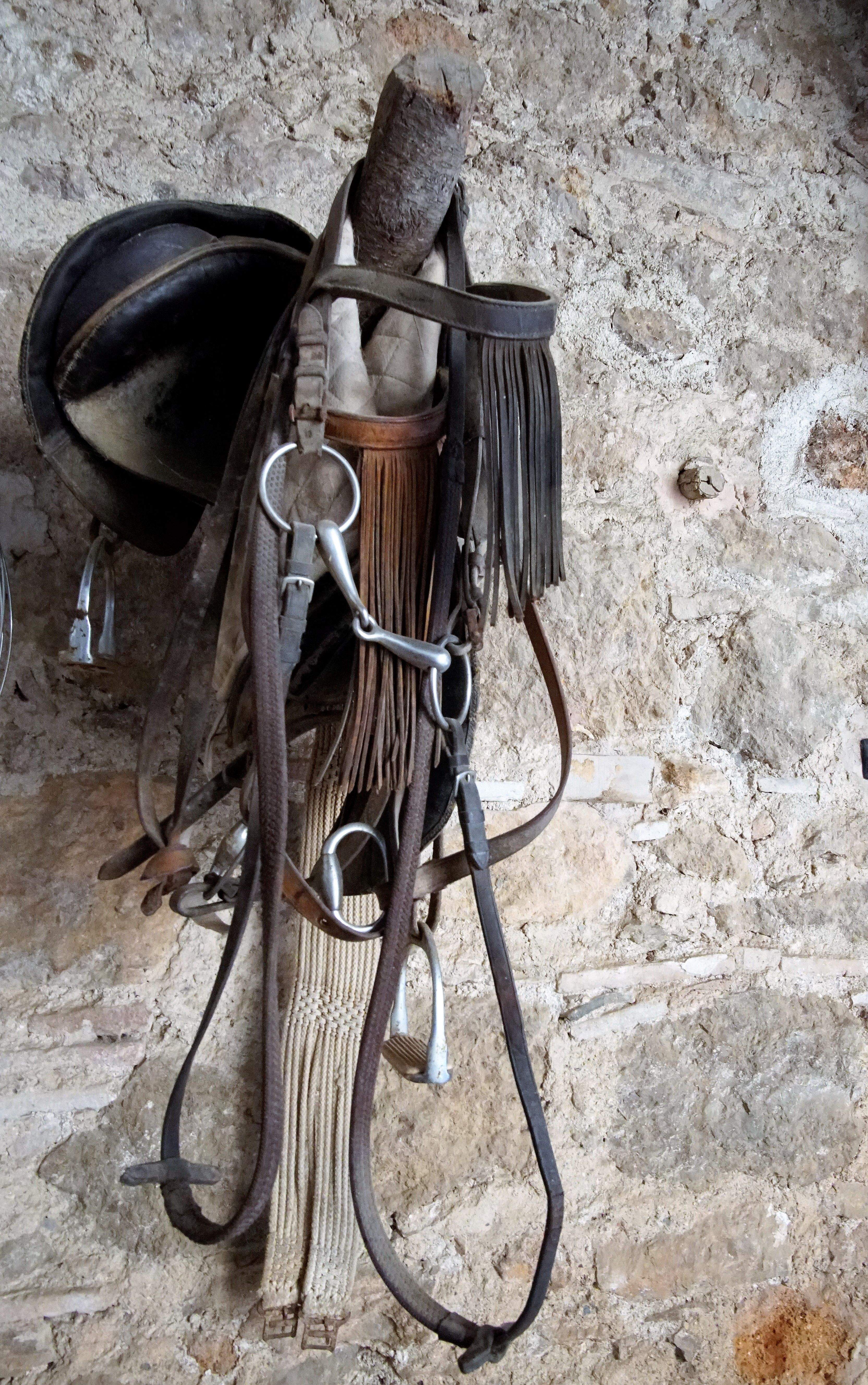 La masia de Torre Negra, des de diferents angles. FOTOS: Quim Llop