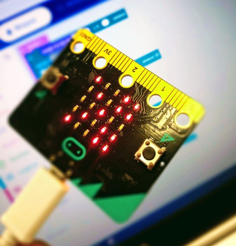 Els intensius seran presencials, però adaptables online FOTO: Cedida