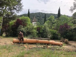 Moment en que es feien els bancs a Sant Medir FOTO: Cedida