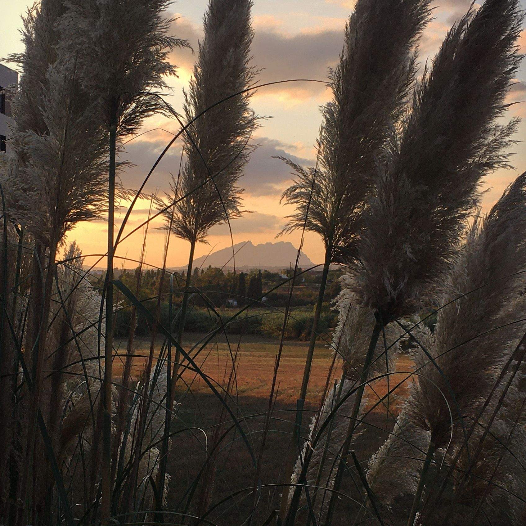 A prop de casa Parc de Can Mates#Kevin Nolan 153