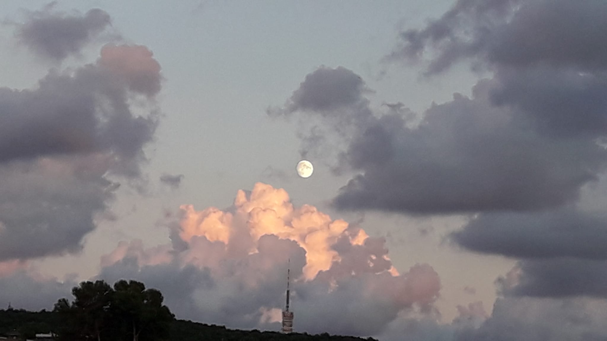 Antena, nuevo,lluna. La Floresta#LEONOR VALLES MURAY 137