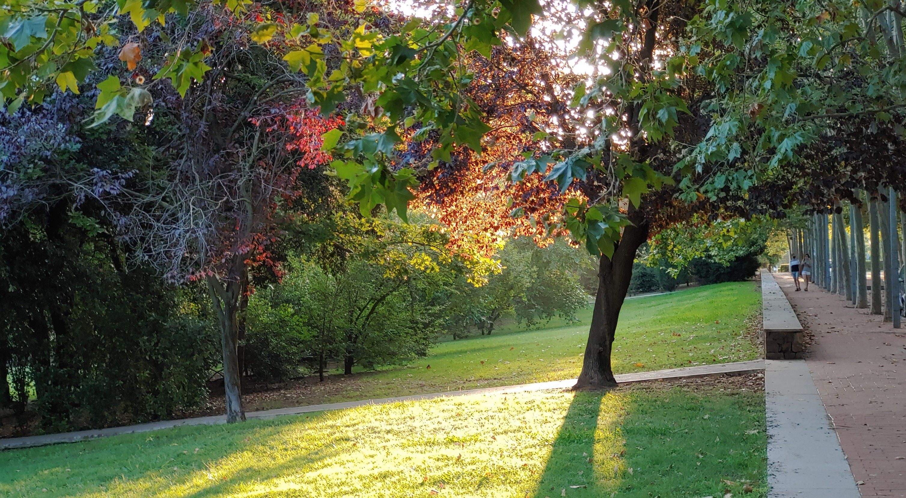 Apreciando lo cercano Parc Central, Sant Cugat#Miguel Iglesias Bauza 155