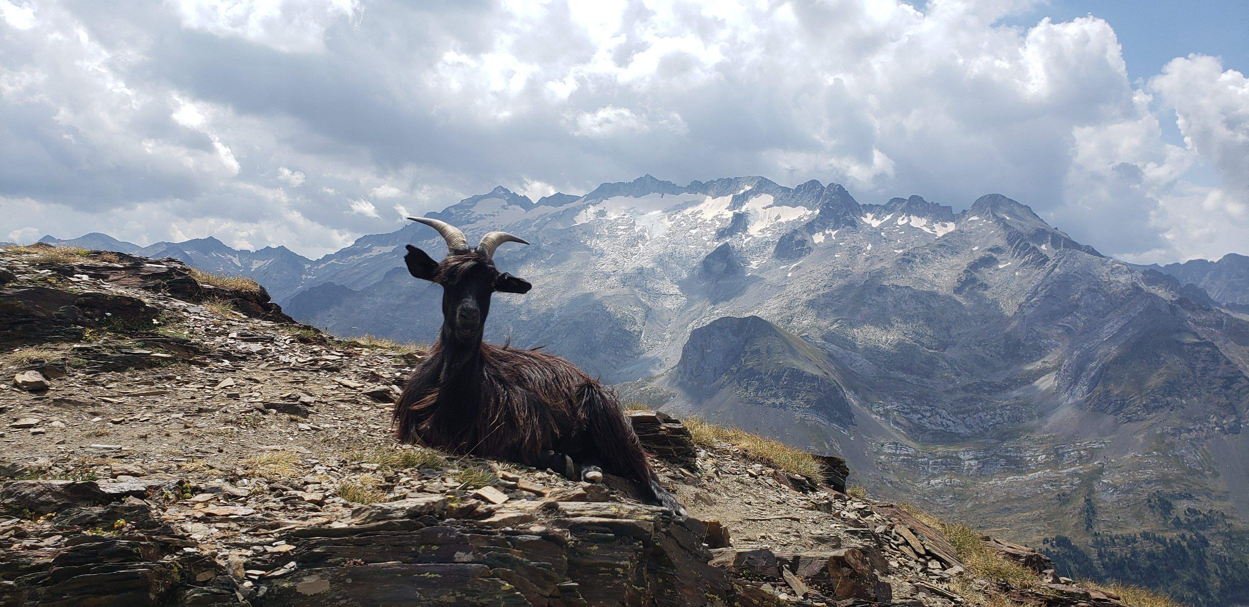 Aqui, esperant els guiris per la foto. Mont Salvaguardia#Quico Folch 95