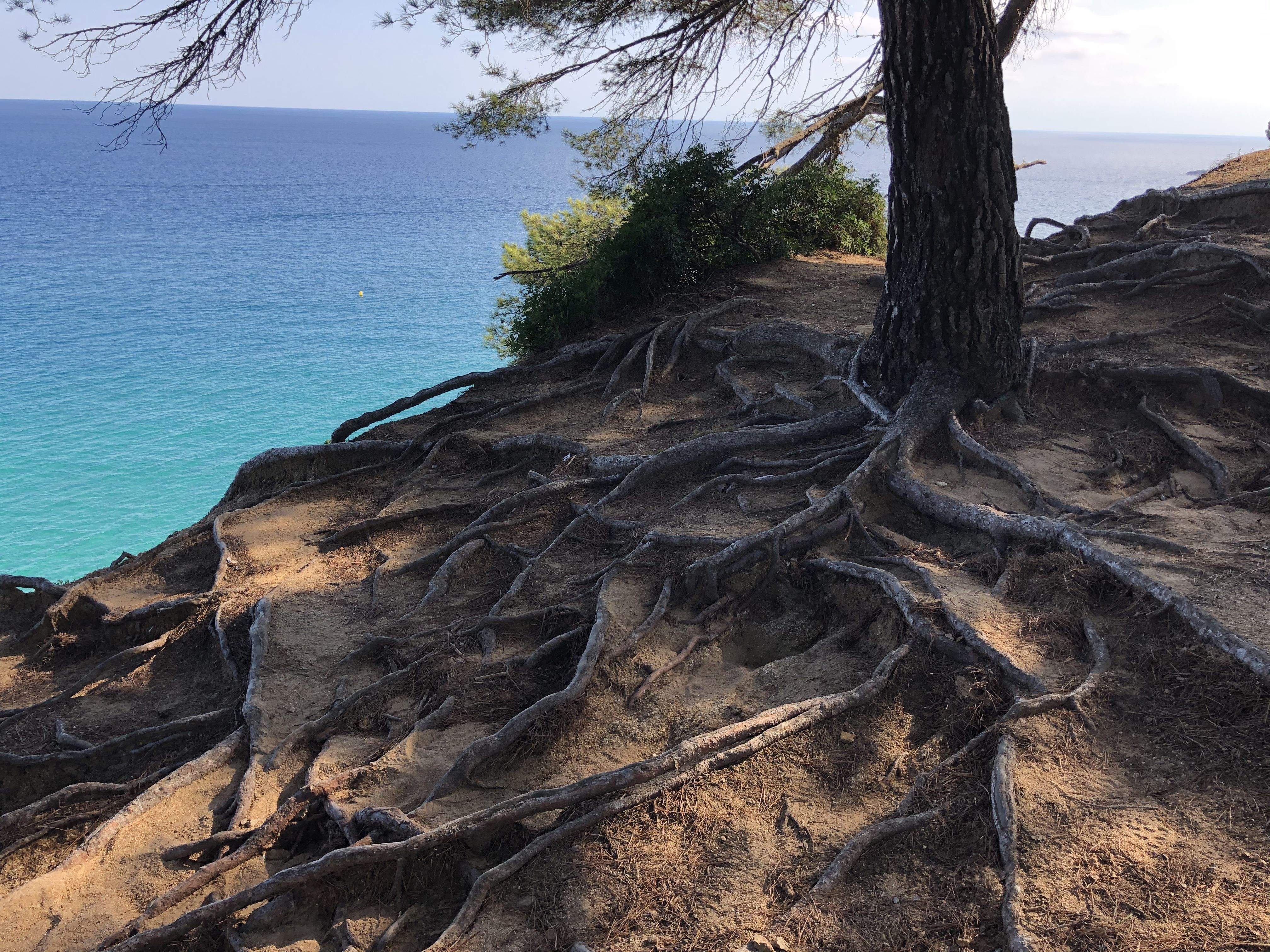 Arrelat Lloret de mar#Eszter De Martin 242