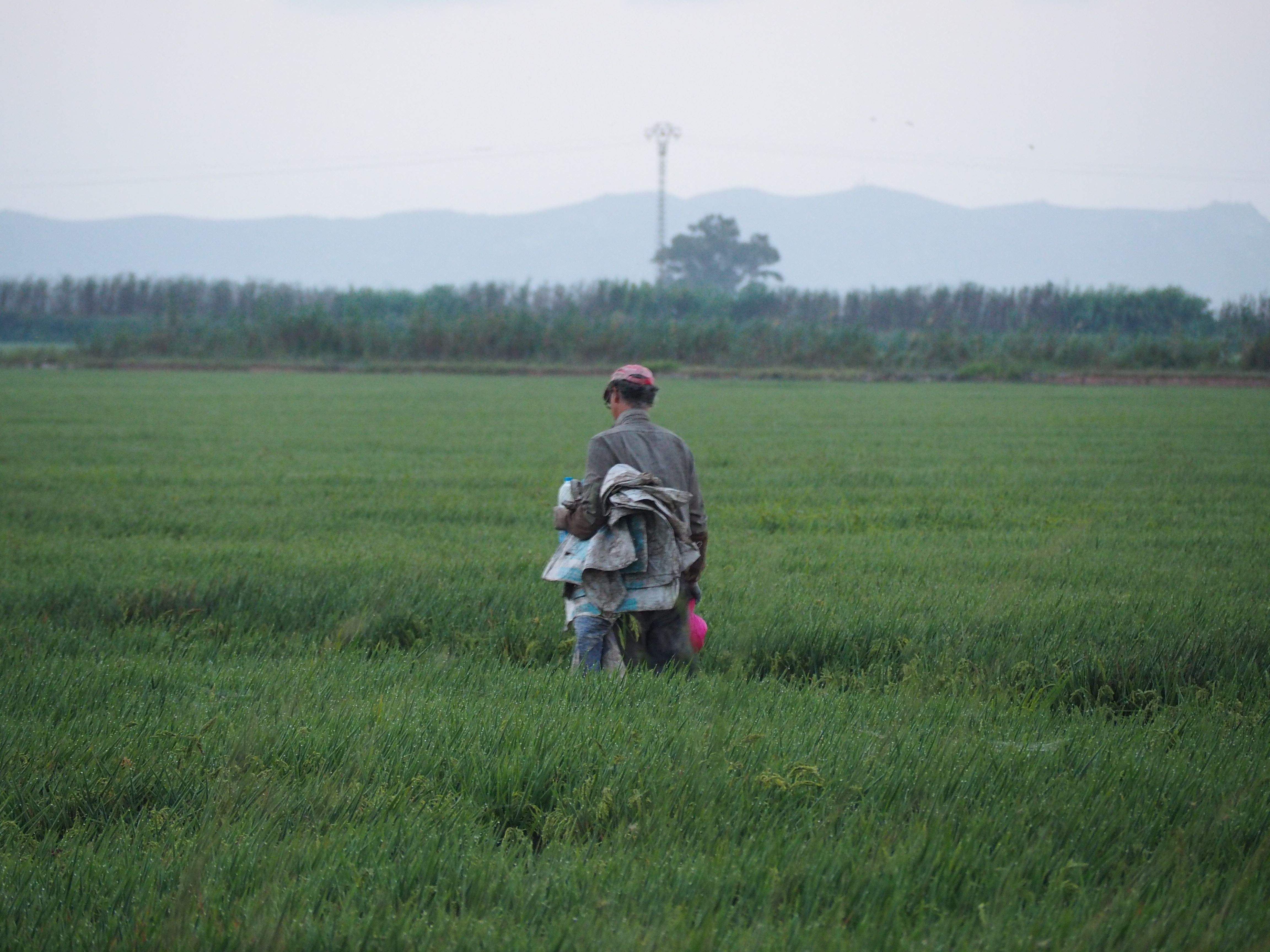Arròs El Palmar   Parc Natural de l'Albufera#Marc Cascales 367