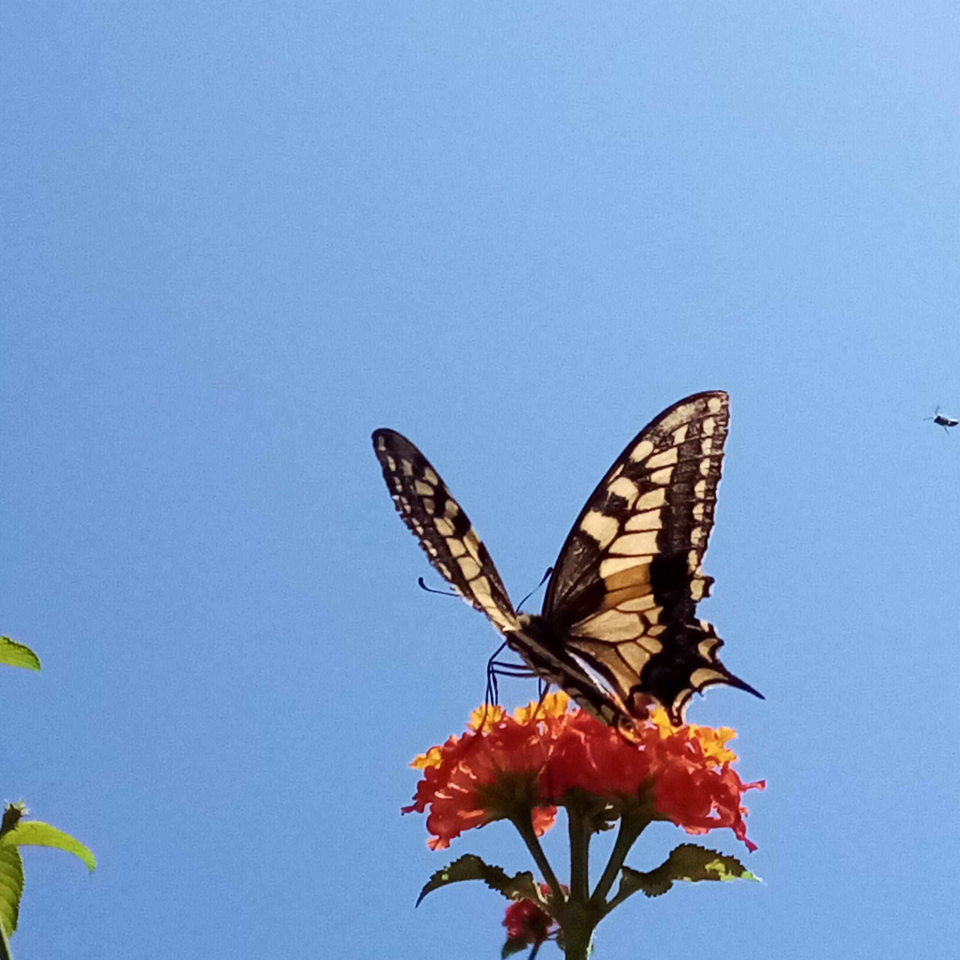 Belleza Vendrell#Roberto Navarro Marin 40