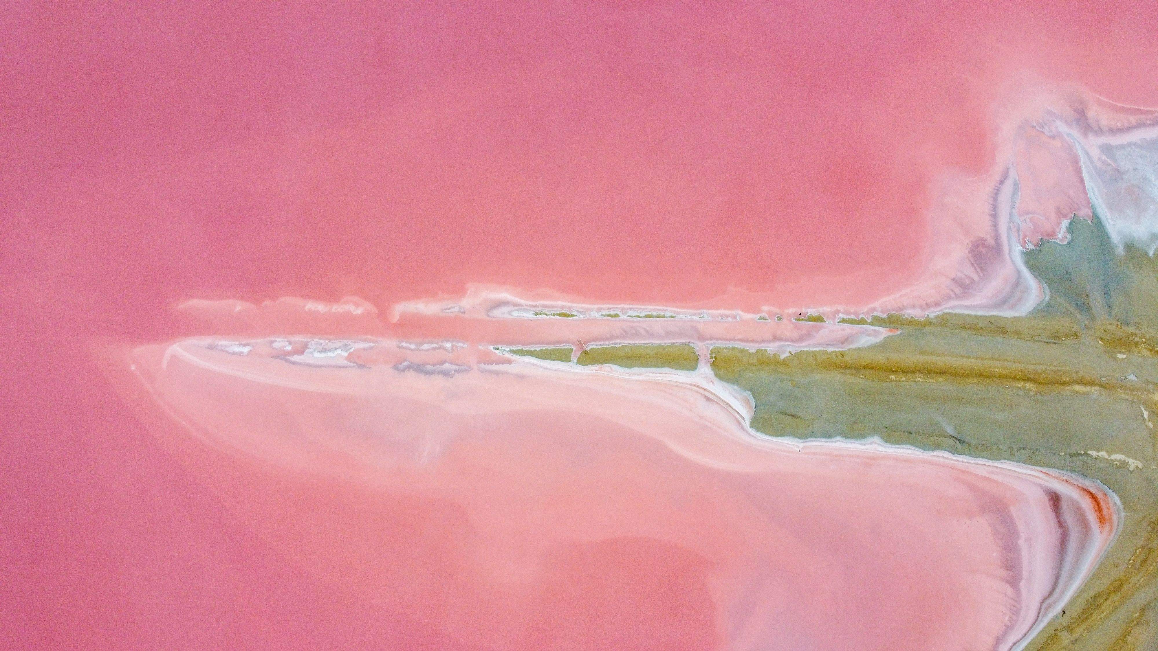 Bogeria de paisatge Salines Aigues Mortes#Alba Gimeno 312