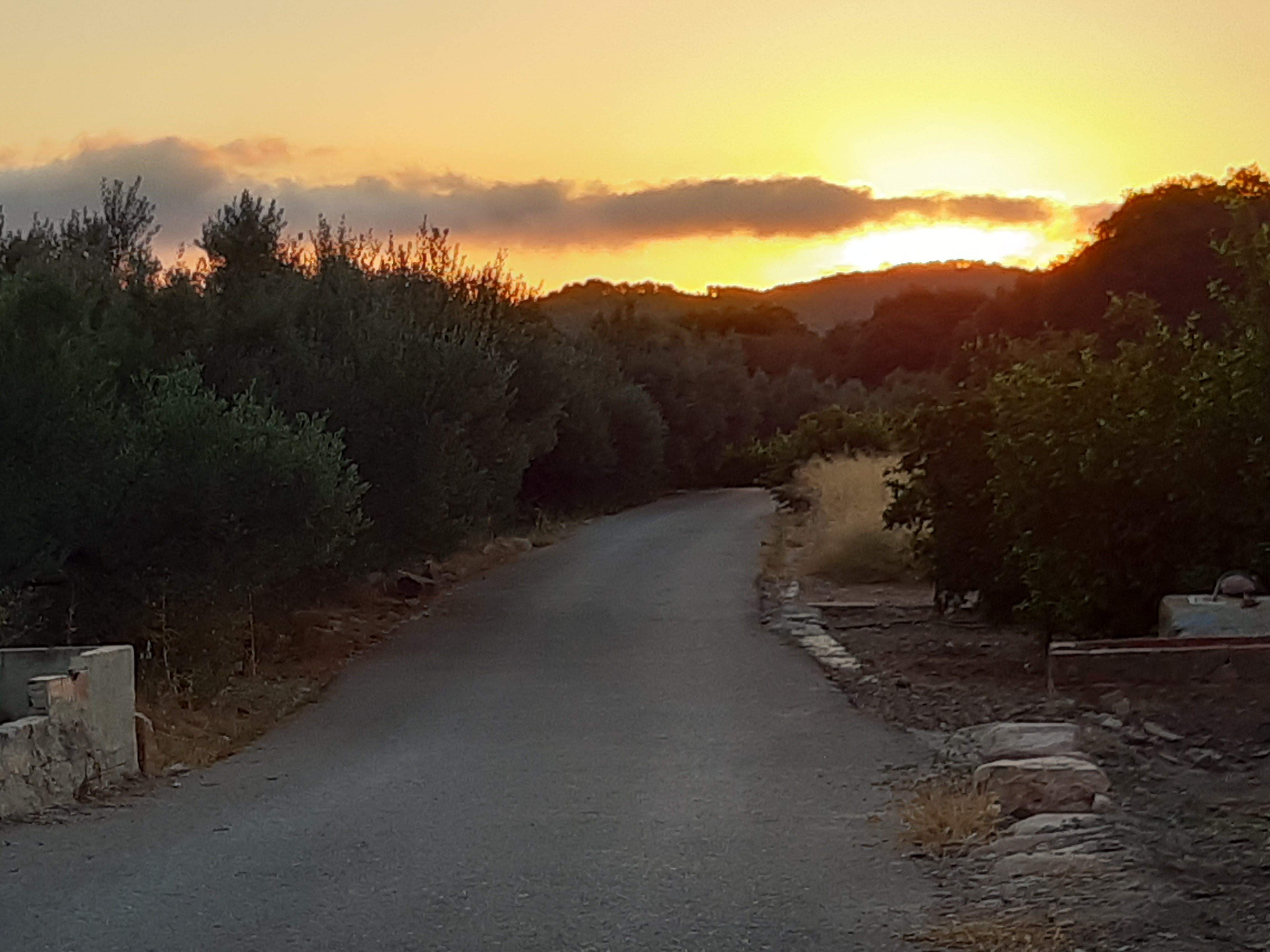 Bon  día, horts Artana (Castelló)#Jorge Pruna Urbina 140