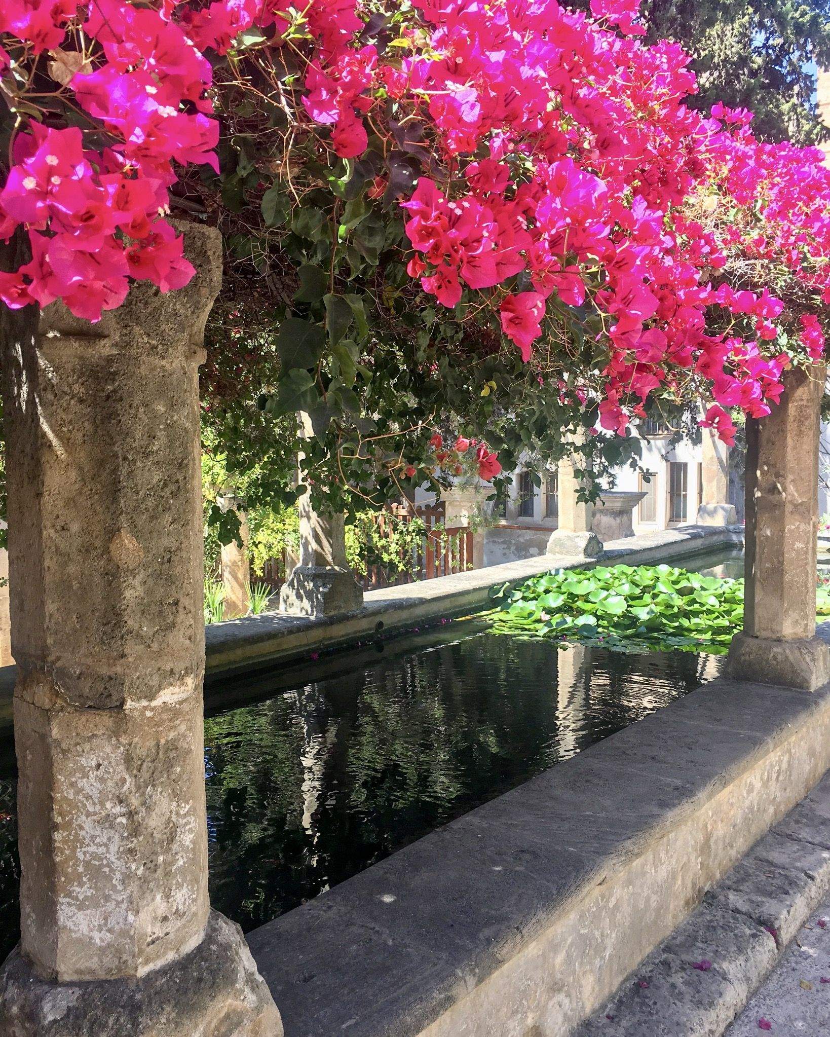 Calma Palma de Mallorca#Montse Carreras Boix 98