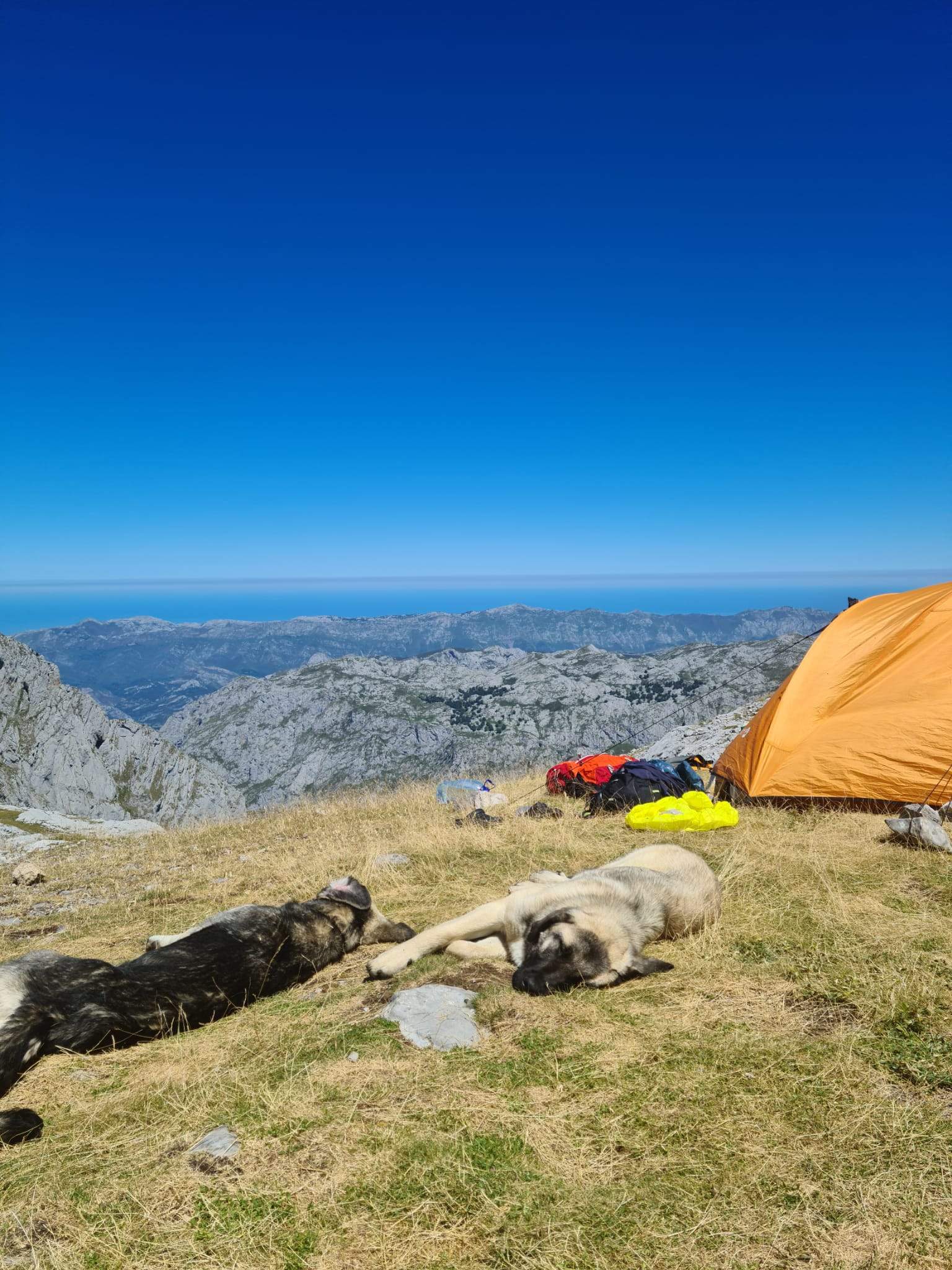 Calma Picos de Europa#Ignasi Ventura 182