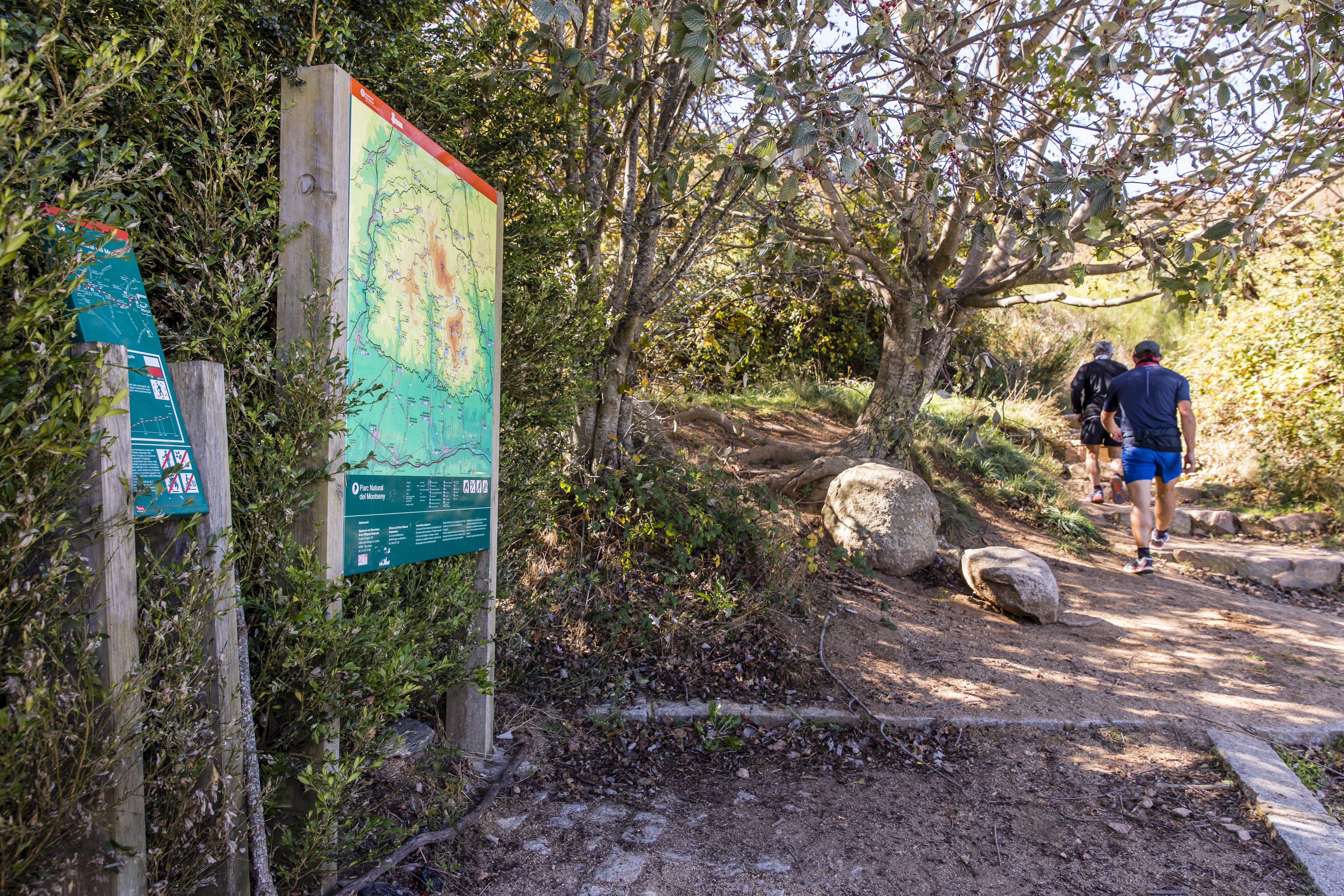 Anar pels camins senyalitzats - Parc Natural del Montseny. FOTO: Ricard Badia / Diputació de Barcelona