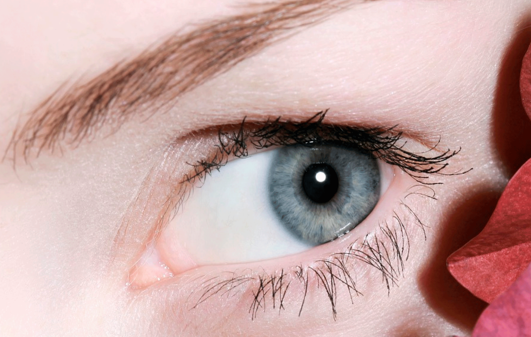 L'Eye Spa de l'HGC SantCugat és la solució per a la síndrome de l'ull sec. FOTO: Cedida