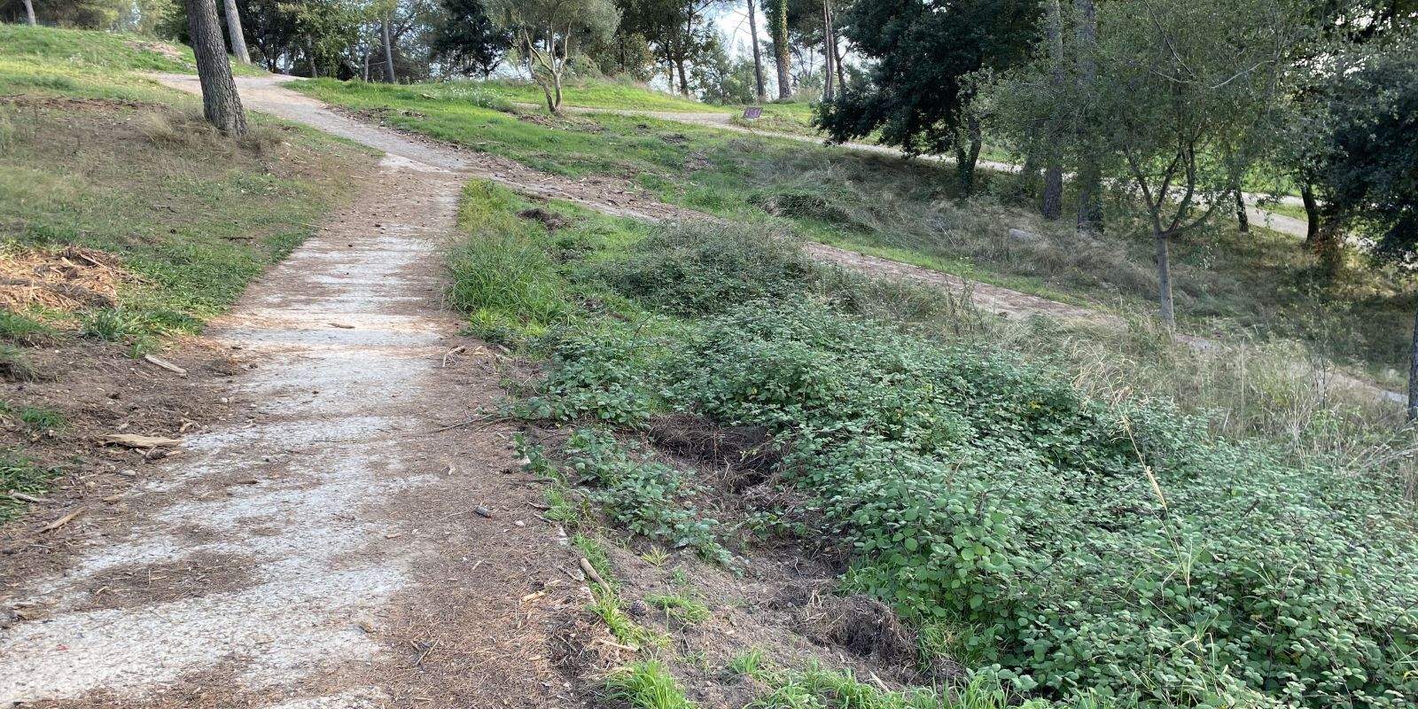 El camp de golf de Can Sant Joan té molts números de tornar a ser un espai destinat a la pràctica d’aquest esport i no pas un parc interurbà per a la ciutadania. FOTO: R. Cabús