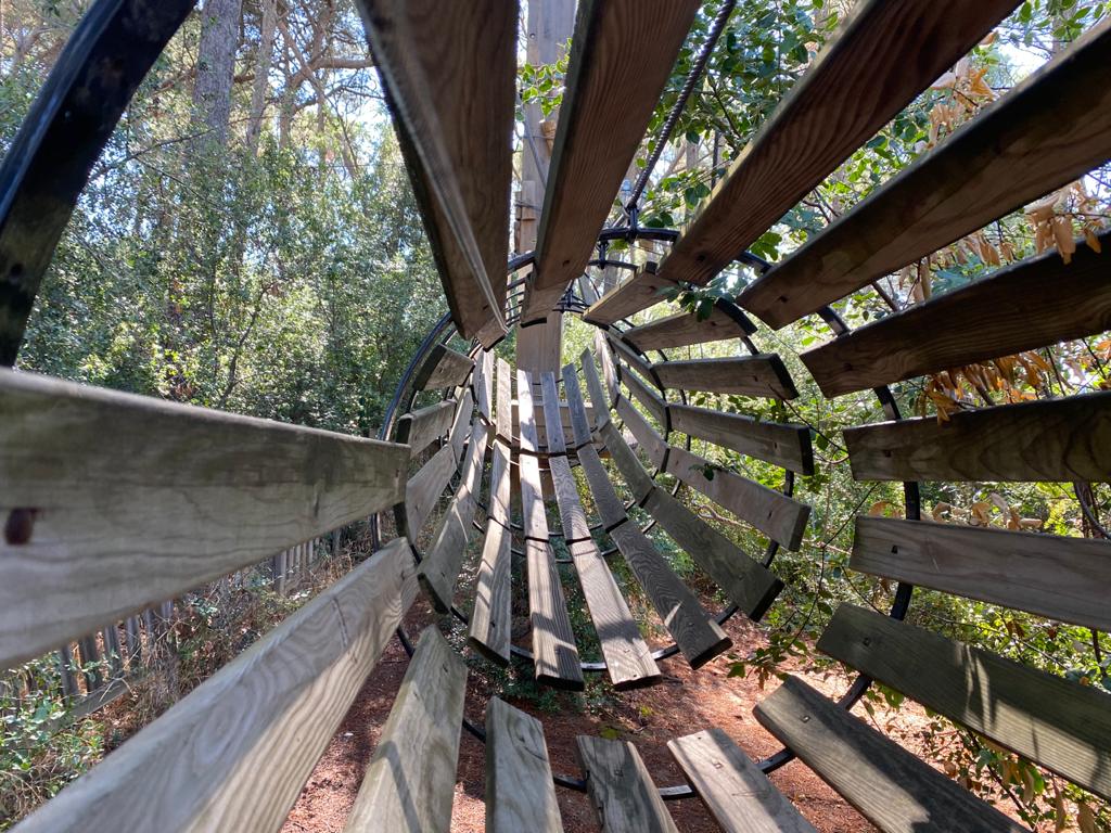 El cercle de la vida Cerdanyola#Maria del Mar Garcia Mestre 172