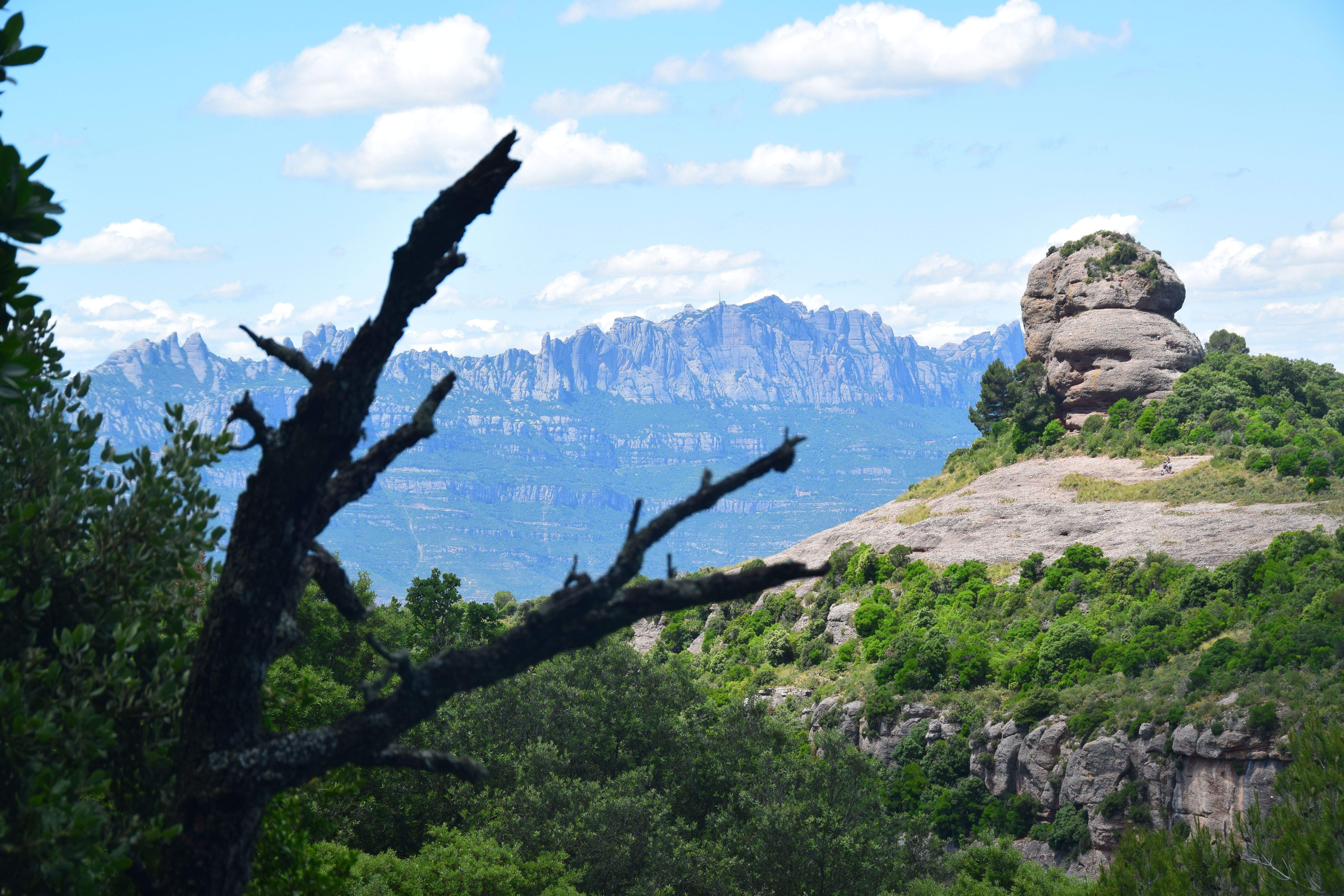 El Paller de Tot l Any Parc Natural de Sant Llorenç del Munt i l Obac#Judit Mayordomo Rebollo 258