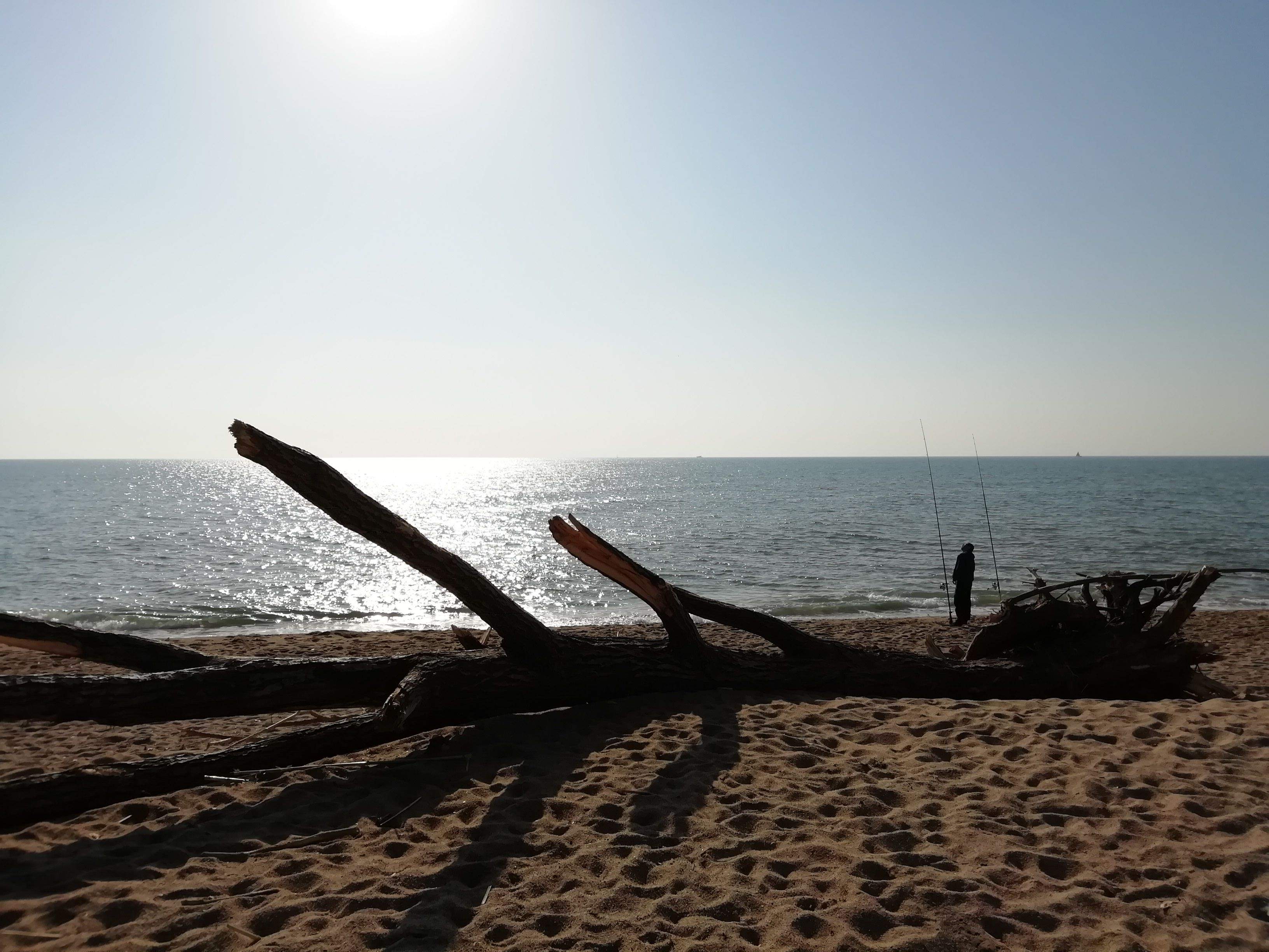 El que la pluja va portar... Canet de Mar#Francisco Armada Raya 135